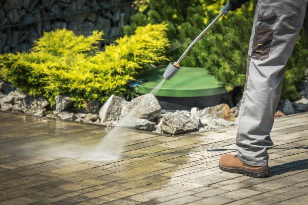 Best Driveway Pressure Washing  in Bishop, TX