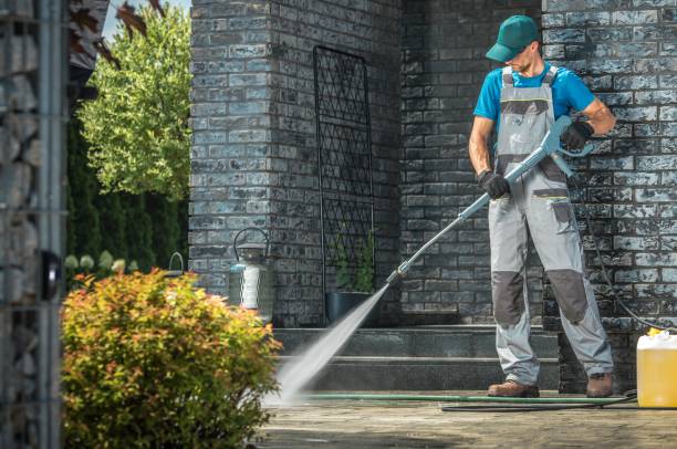 Solar Panel Cleaning in Bishop, TX