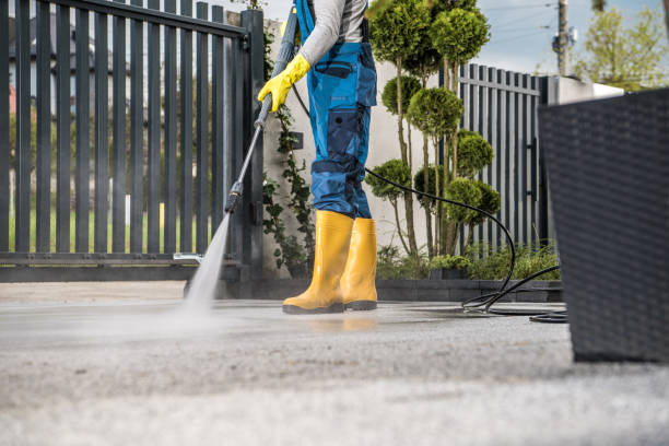 Best Solar Panel Cleaning  in Bishop, TX